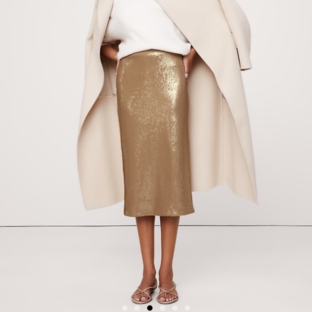 Banana Republic Cinnamon Dolce Latte Stretch Sequin Skirt